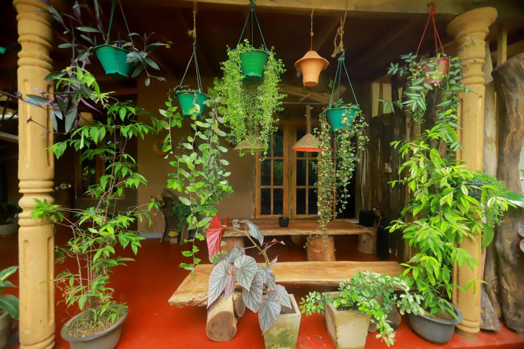 Dinna Nature Hostel Сигирия Екстериор снимка