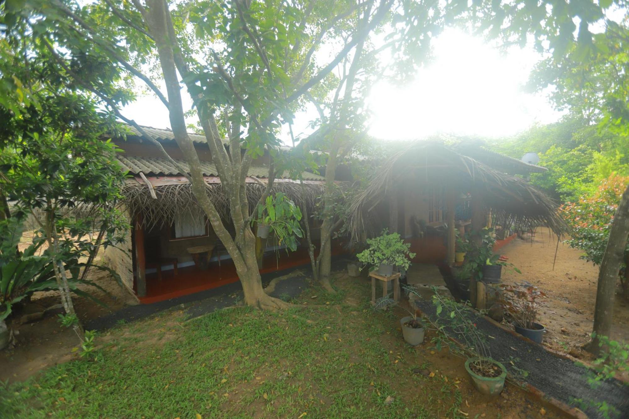 Dinna Nature Hostel Сигирия Екстериор снимка